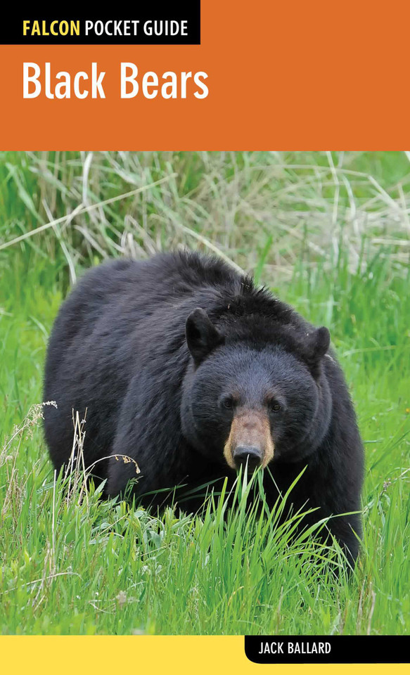 Black Bears (Falcon Pocket Guides) book cover by Jack Ballard