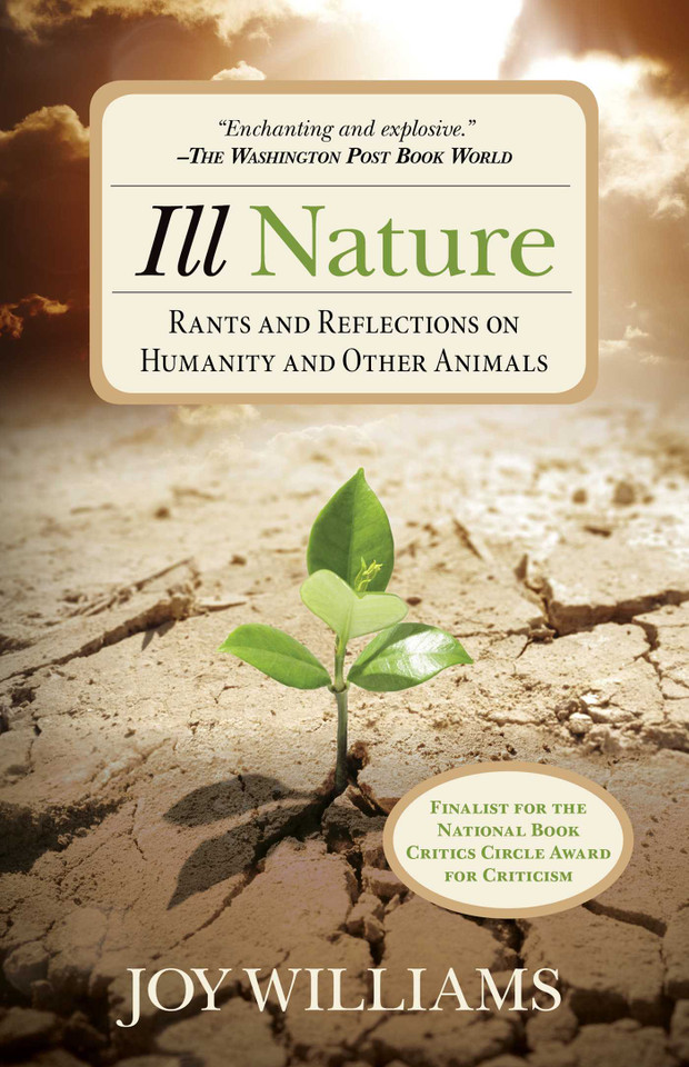 Ill Nature: Rants and Reflections on Humanity and Other Animals book cover by Joy Williams