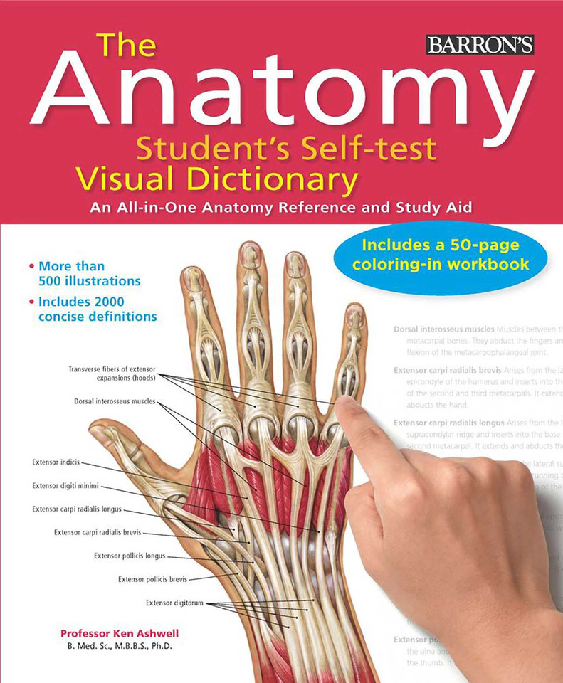 Anatomy Student's Self-Test Visual Dictionary: An All-in-One Anatomy Reference and Study Aid (Barron's Visual Dictionaries) book cover by Ken Ashwell