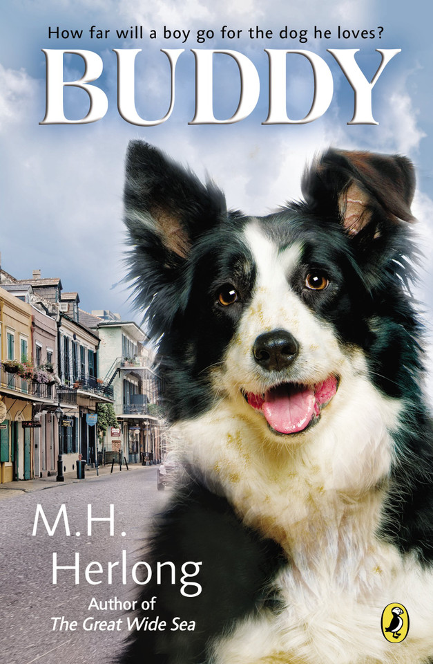 Buddy Cover