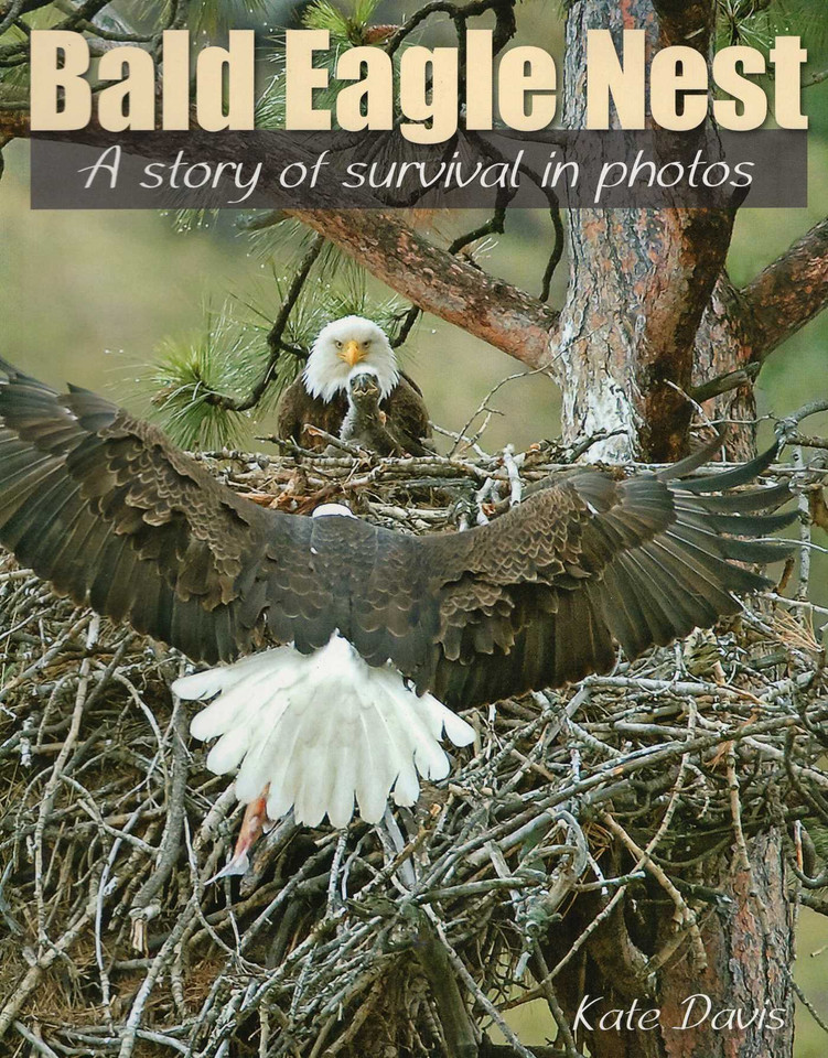 Bald Eagle Nest book cover by Kate Davis