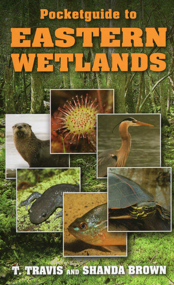 Pocketguide to Eastern Wetlands book cover by T. Travis, Shanda Brown
