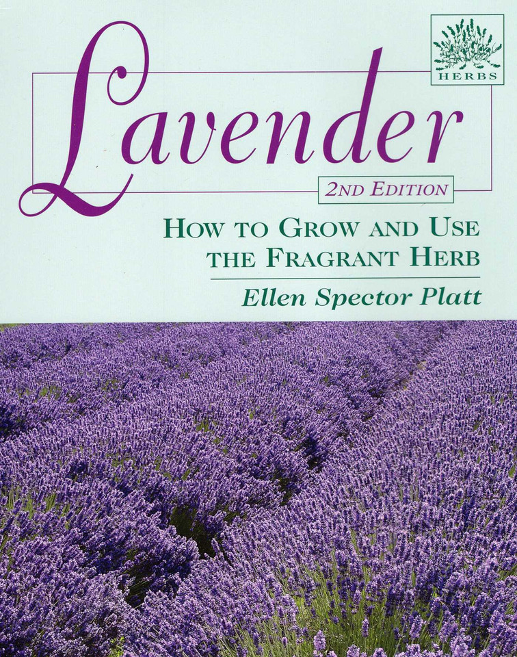 Lavender book cover by Ellen Spector Platt