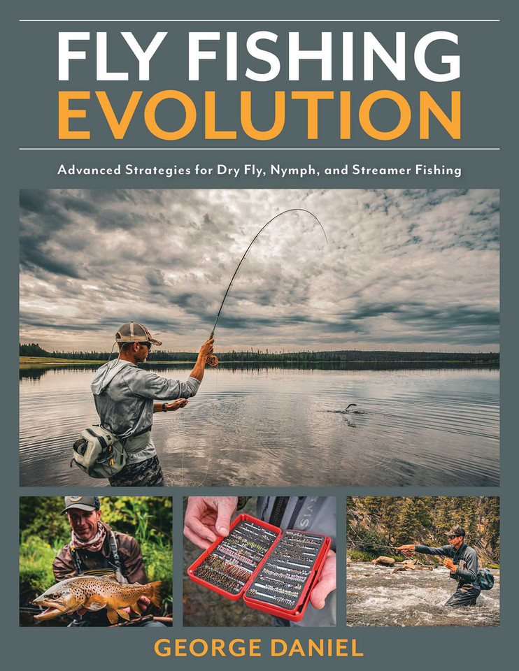 Fly Fishing Evolution: Advanced Strategies for Dry Fly, Nymph, and Streamer Fishing book cover by George Daniel