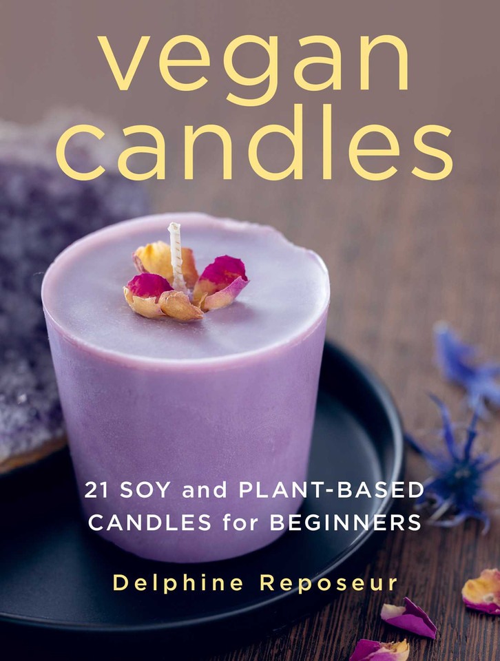 Vegan Candles: 21 Soy and Plant-based Candles for Beginners book cover by Delphine Reposeur