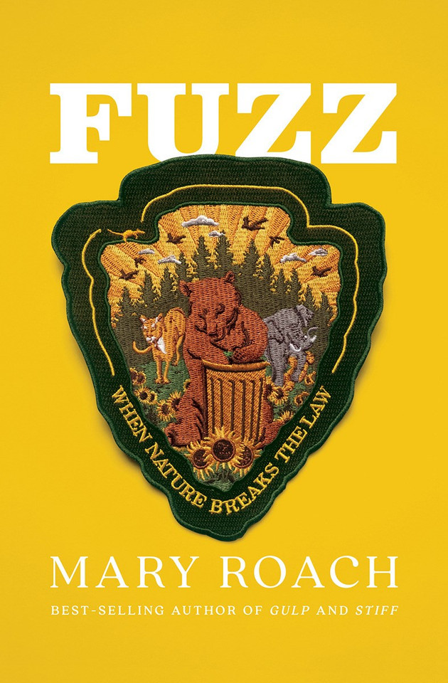 Fuzz: When Nature Breaks the Law [Hardcover]
