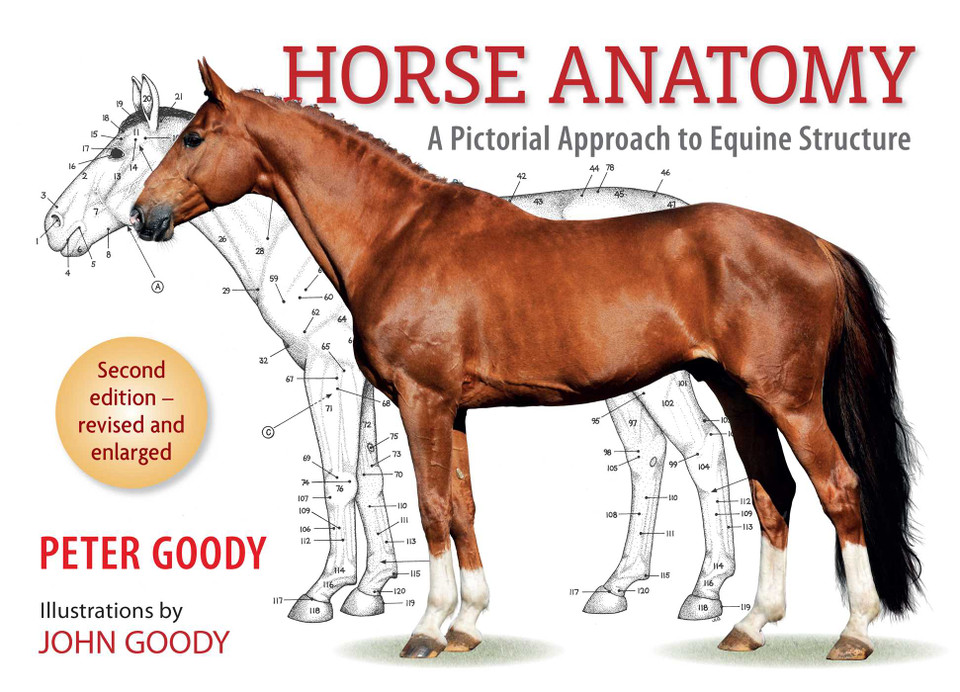 Horse Anatomy: A Pictorial Approach to Equine Structure book cover by Peter Goody