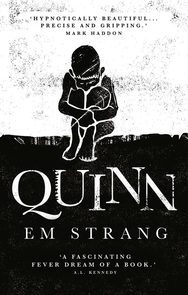 Quinn: 'Hypnotically beautiful' - Mark Haddon book cover by Em Strang