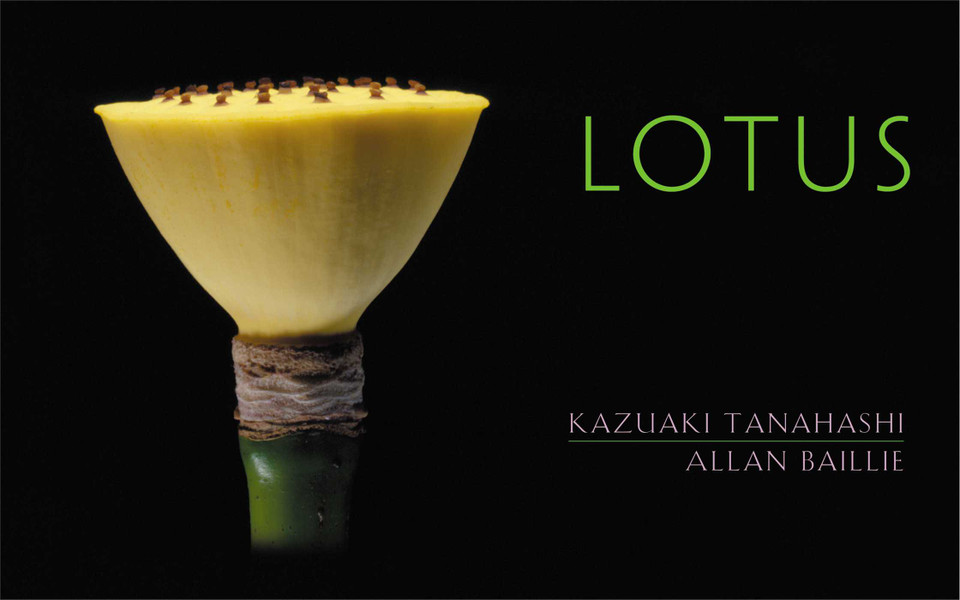 Lotus book cover by Allan Baillie
