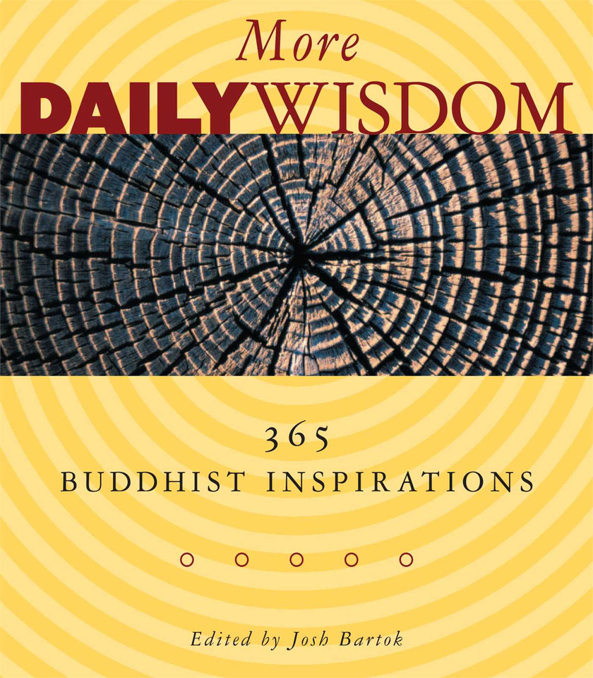 More Daily Wisdom: 365 Buddhist Inspirations book cover by 