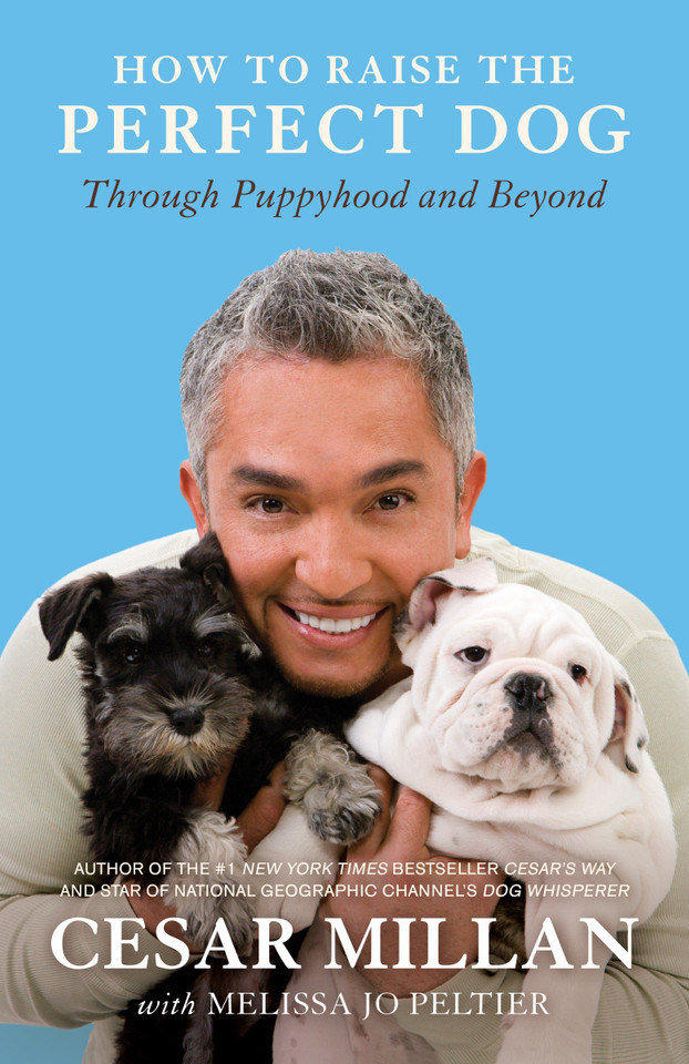 How to Raise the Perfect Dog: Through Puppyhood and Beyond book cover by Cesar Millan, Melissa Jo Peltier