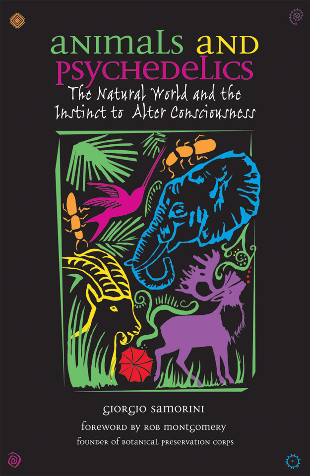 Animals and Psychedelics: The Natural World and the Instinct to Alter Consciousness book cover by Giorgio Samorini