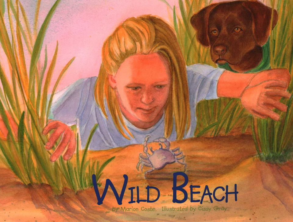Wild Beach book cover by Marion Coste