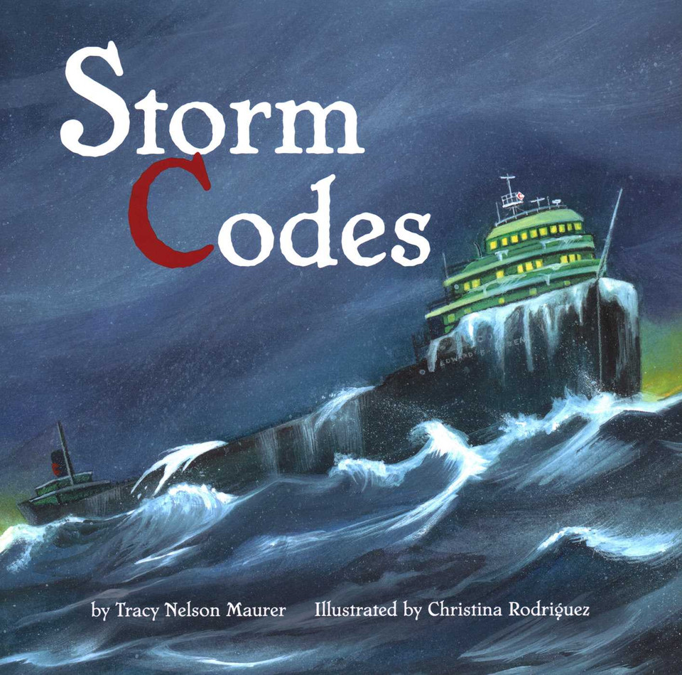 Storm Codes book cover by Tracy Maurer