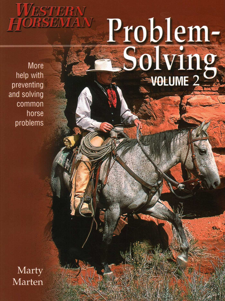 Problem-Solving book cover by Marty Marten