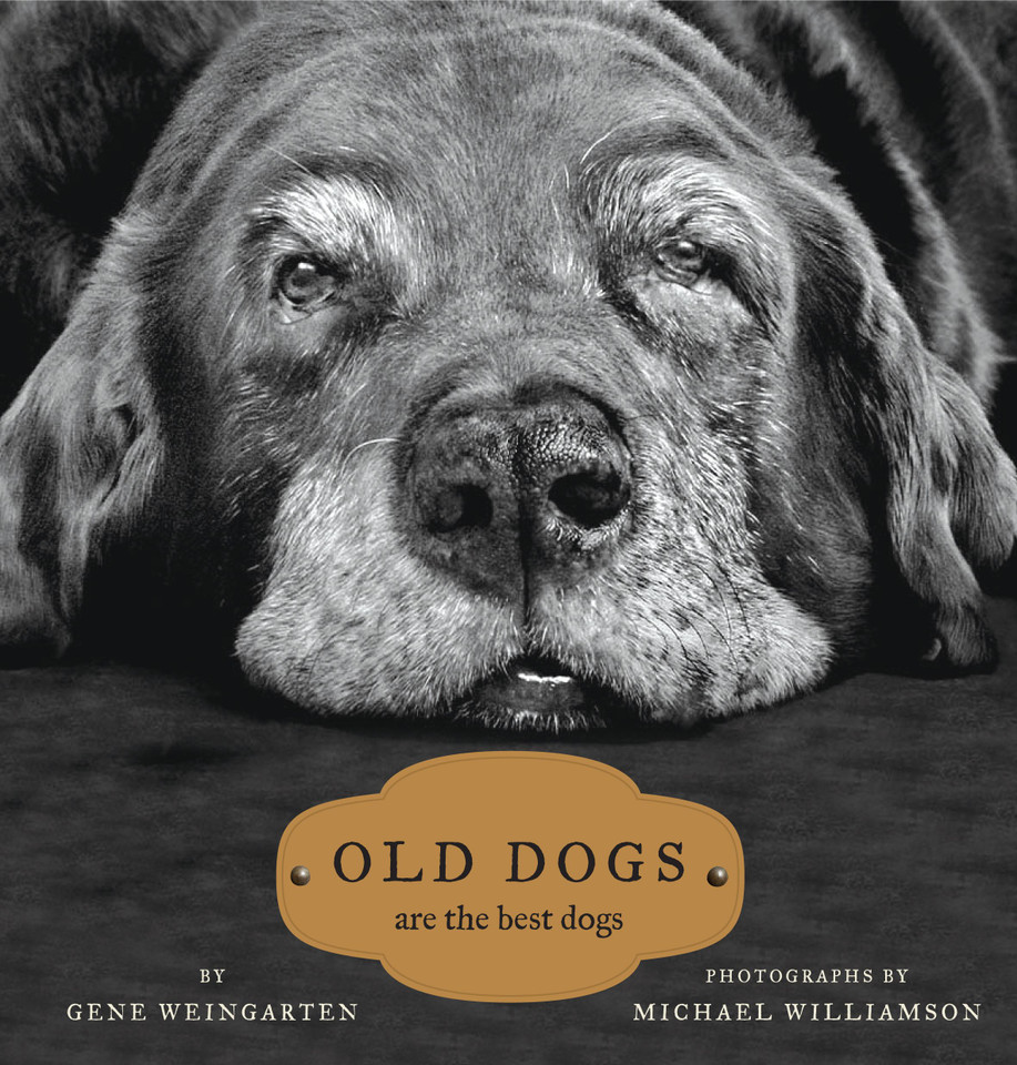 Old Dogs: Are the Best Dogs book cover by Gene Weingarten