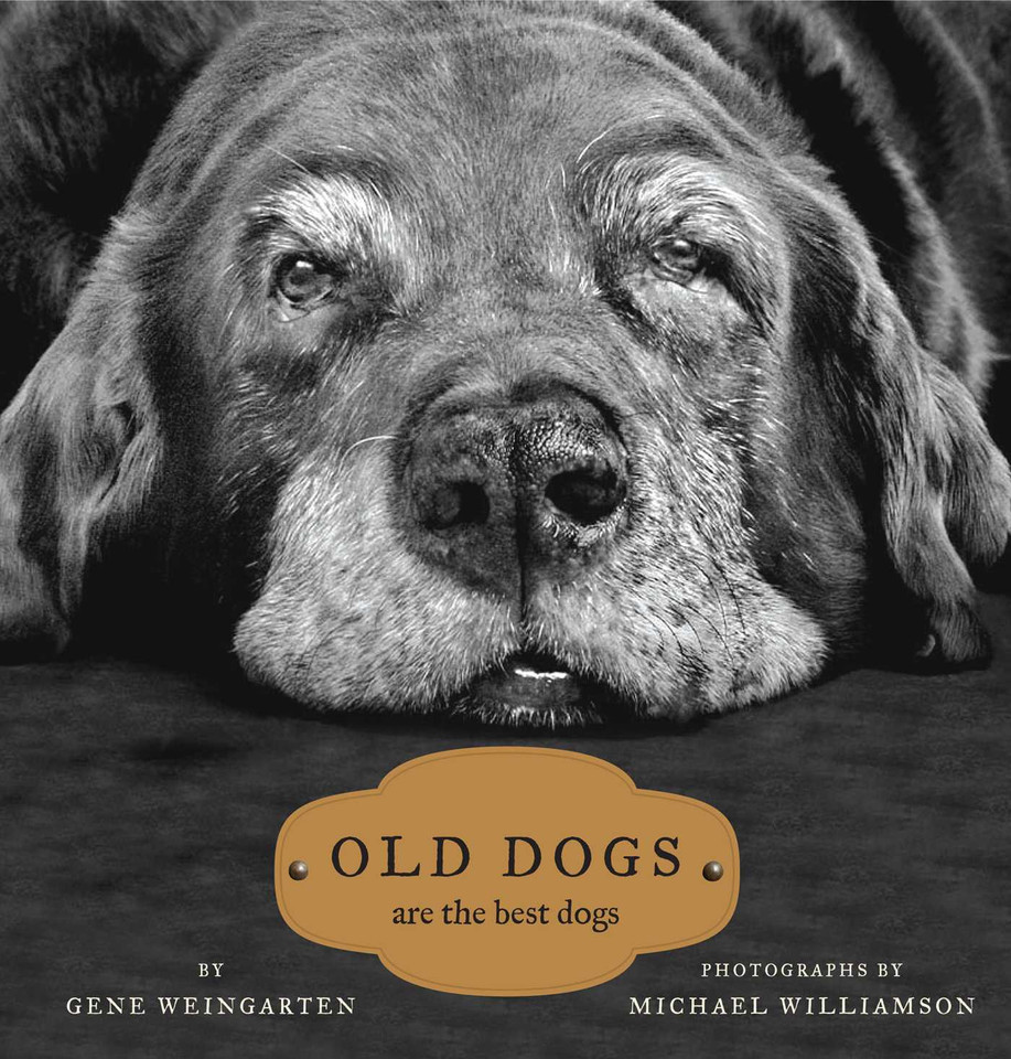 Old Dogs: Are the Best Dogs book cover by Gene Weingarten