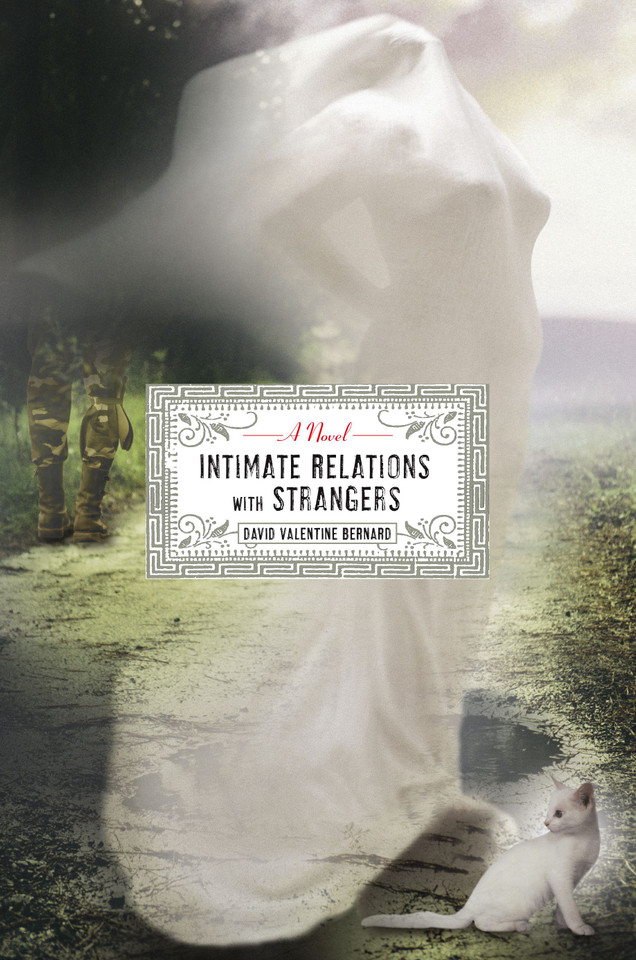 Intimate Relations with Strangers: A Novel book cover by David Valentine Bernard