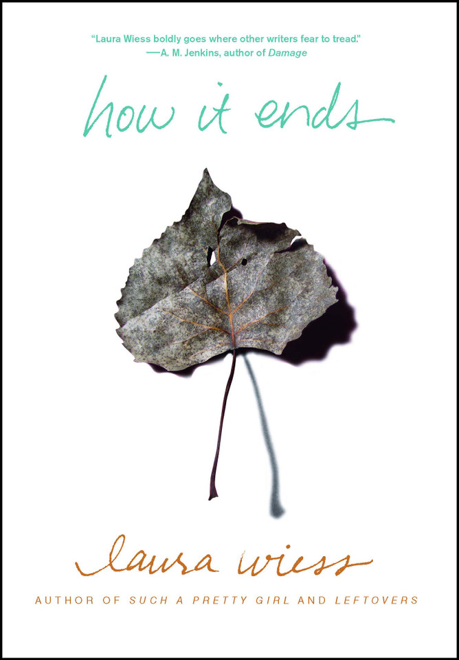 How It Ends book cover by Laura Wiess