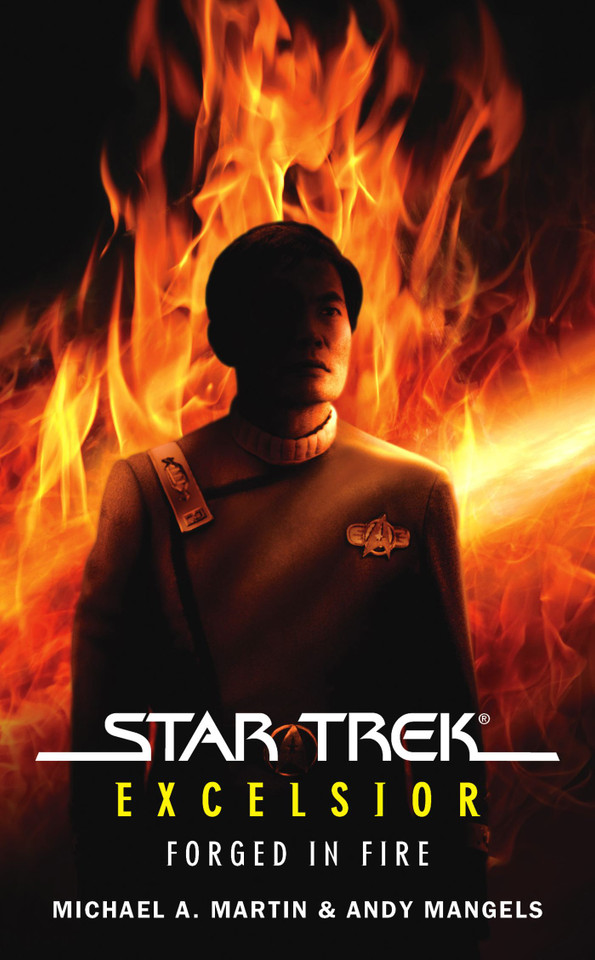 Star Trek: The Original Series: Excelsior: Forged in Fire (Star Trek: The Original Series) book cover by Michael A. Martin, Andy Mangels
