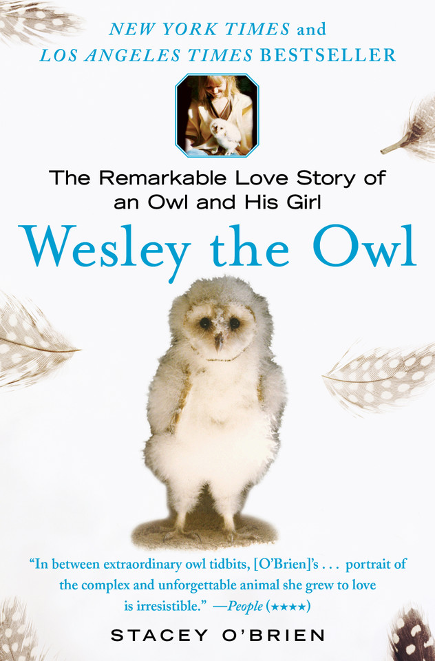 Wesley the Owl: The Remarkable Love Story of an Owl and His Girl book cover by Stacey O'Brien