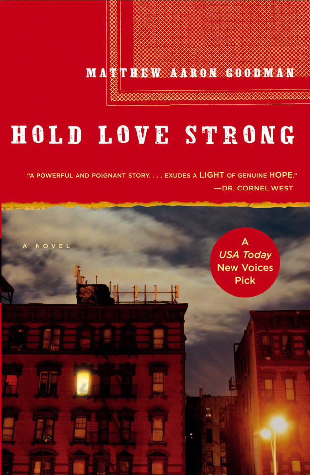 Hold Love Strong: A Novel book cover by Matthew Aaron Goodman