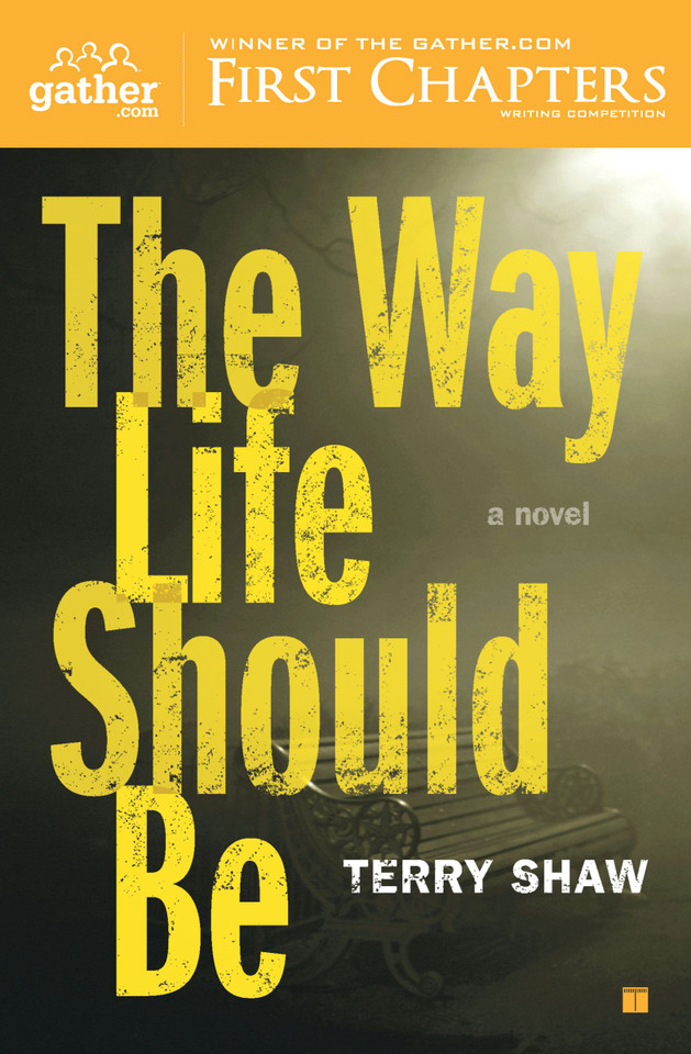 The Way Life Should Be: A Novel book cover by Terry Shaw