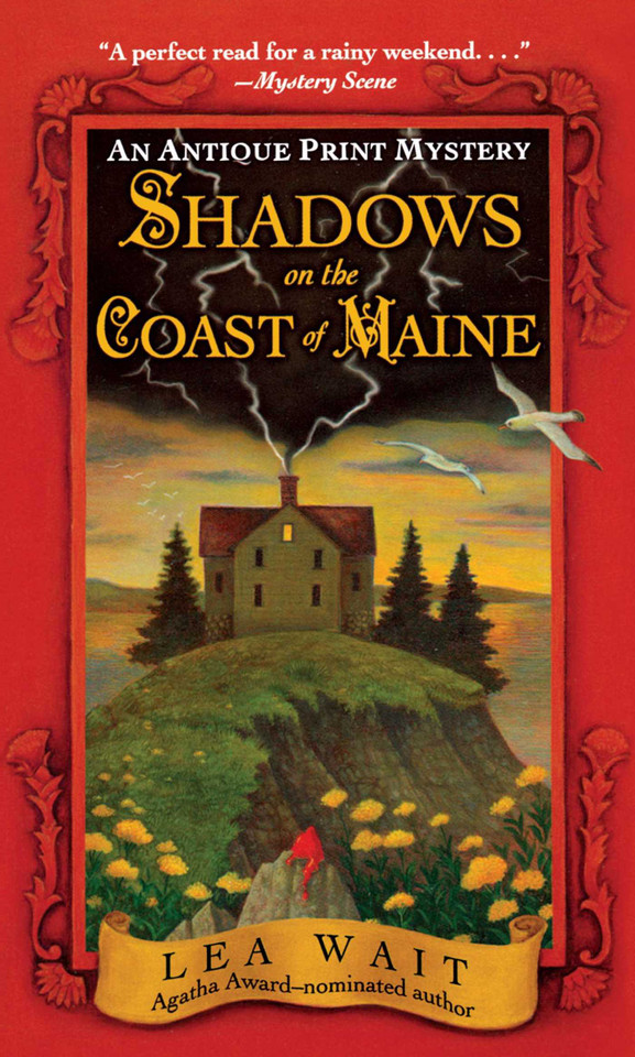 Shadows on the Coast of Maine: An Antique Print Mystery book cover by Lea Wait