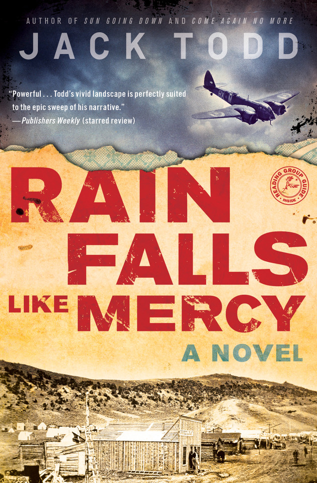 Rain Falls Like Mercy: A Novel book cover by Jack Todd