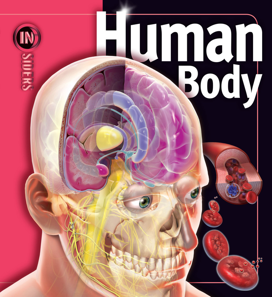 Human Body (Insiders) book cover by Linda Calabresi