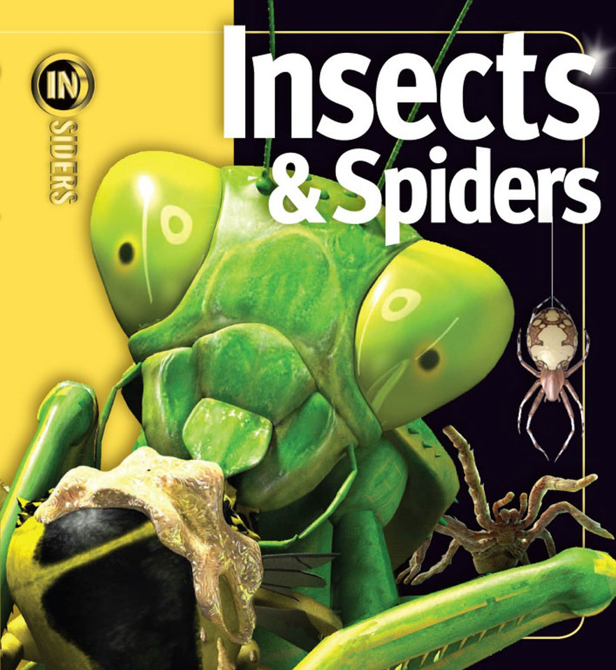 Insects & Spiders (Insiders) book cover by Noel Tait