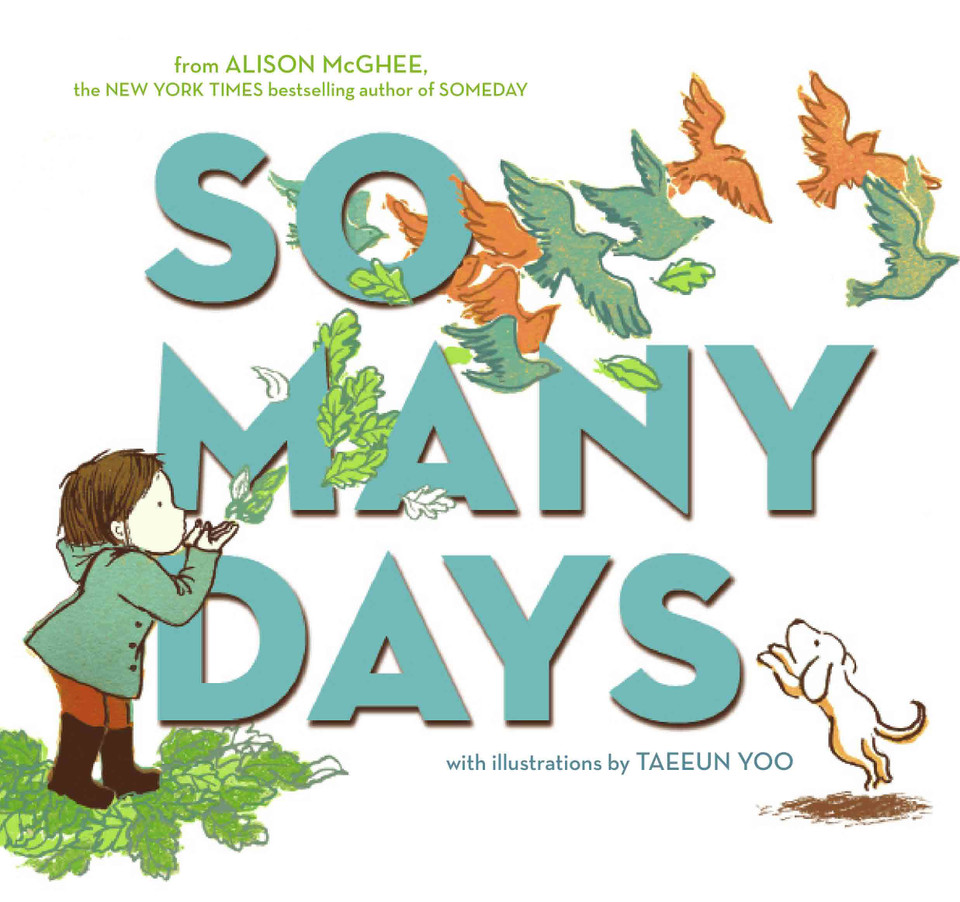 So Many Days book cover by Alison McGhee