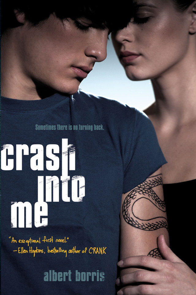 Crash into Me book cover by Albert Borris