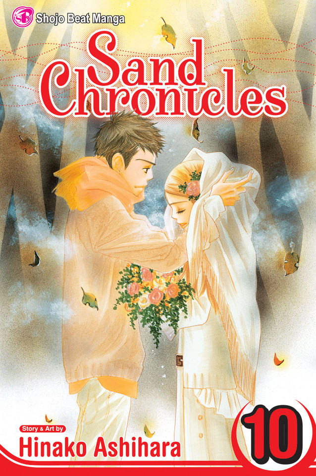 Sand Chronicles, Vol. 10 (Sand Chronicles) book cover by Hinako Ashihara