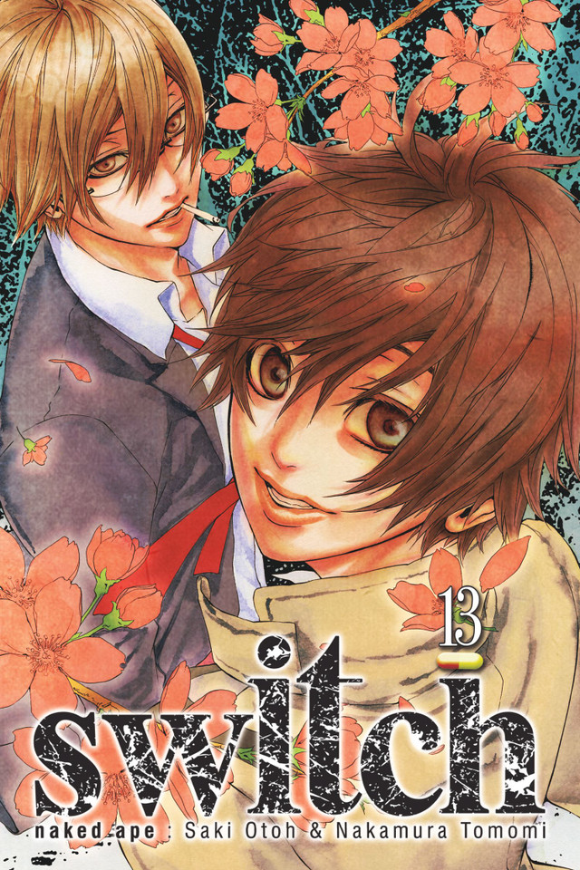 switch, Vol. 13 (Switch) book cover by naked ape