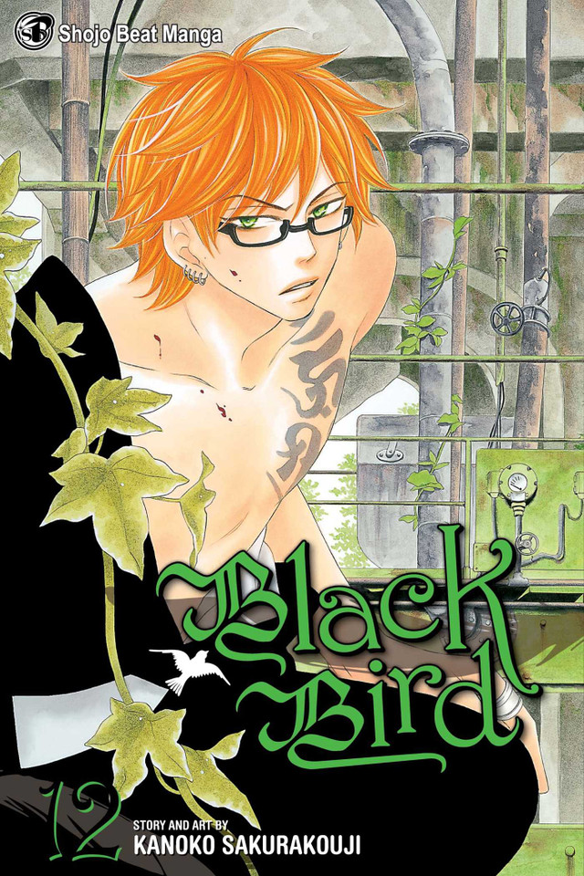 Black Bird, Vol. 12 (Black Bird) book cover by Kanoko Sakurakouji