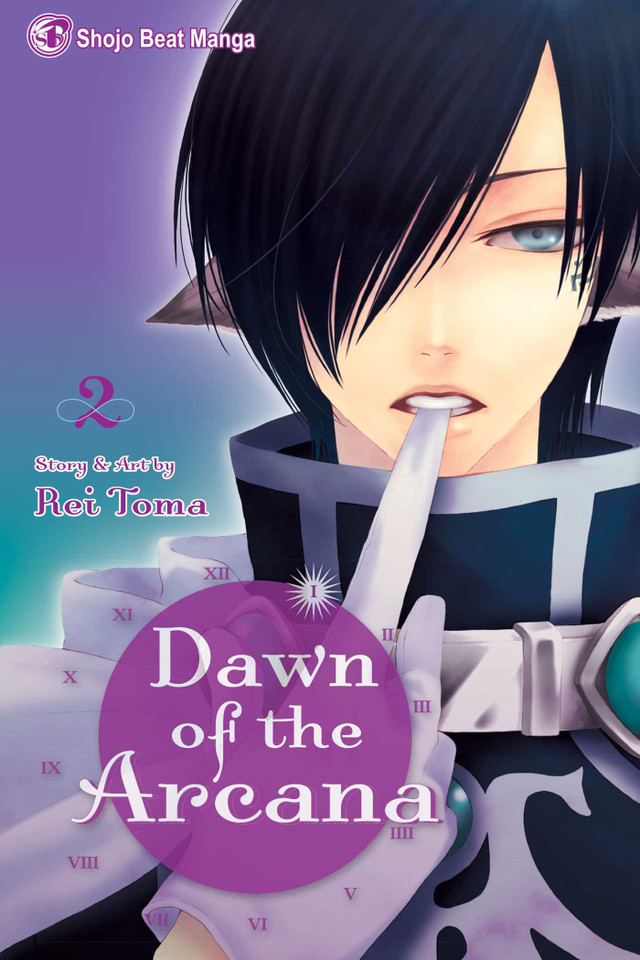 Dawn of the Arcana, Vol. 2 (Dawn of the Arcana) book cover by Rei Toma