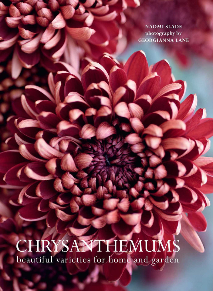 Chrysanthemums: Beautiful Varieties for Home and Garden (Flowers) book cover by Naomi Slade