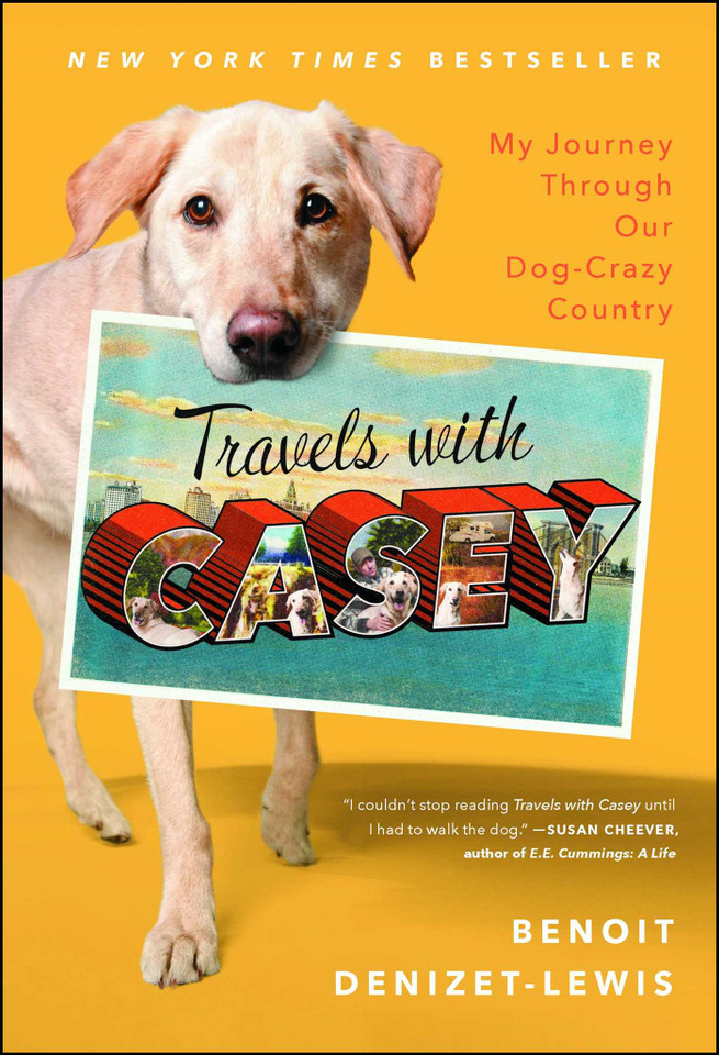 Travels With Casey book cover by Benoit Denizet-Lewis