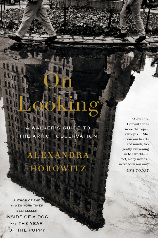 On Looking: A Walker's Guide to the Art of Observation book cover by Alexandra Horowitz