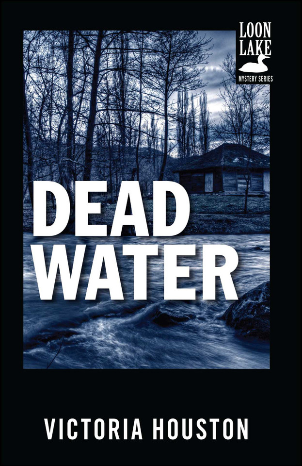 Dead Water (A Loon Lake Mystery) book cover by Victoria Houston