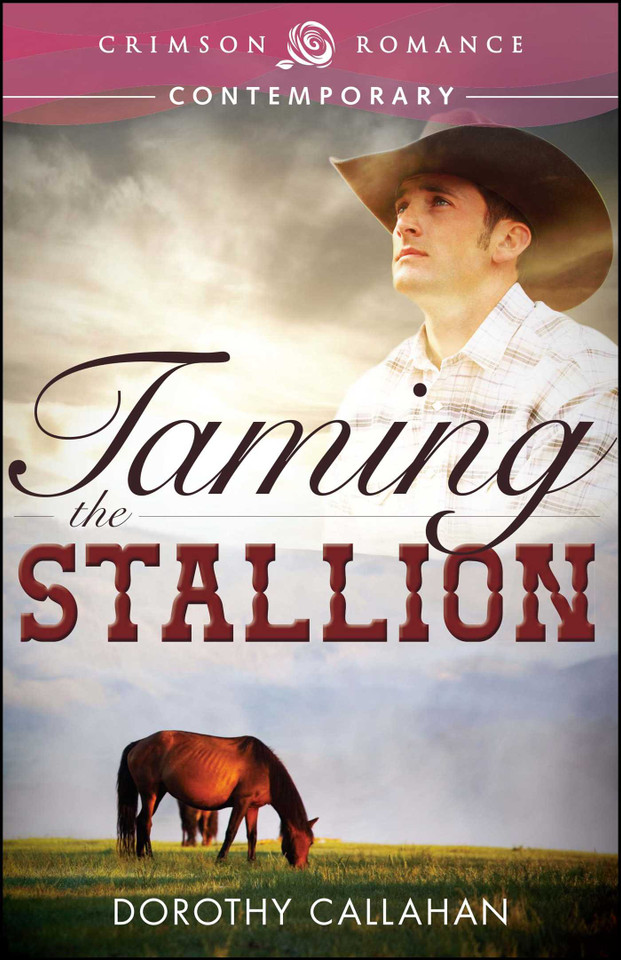 Taming The Stallion book cover by Dorothy Callahan