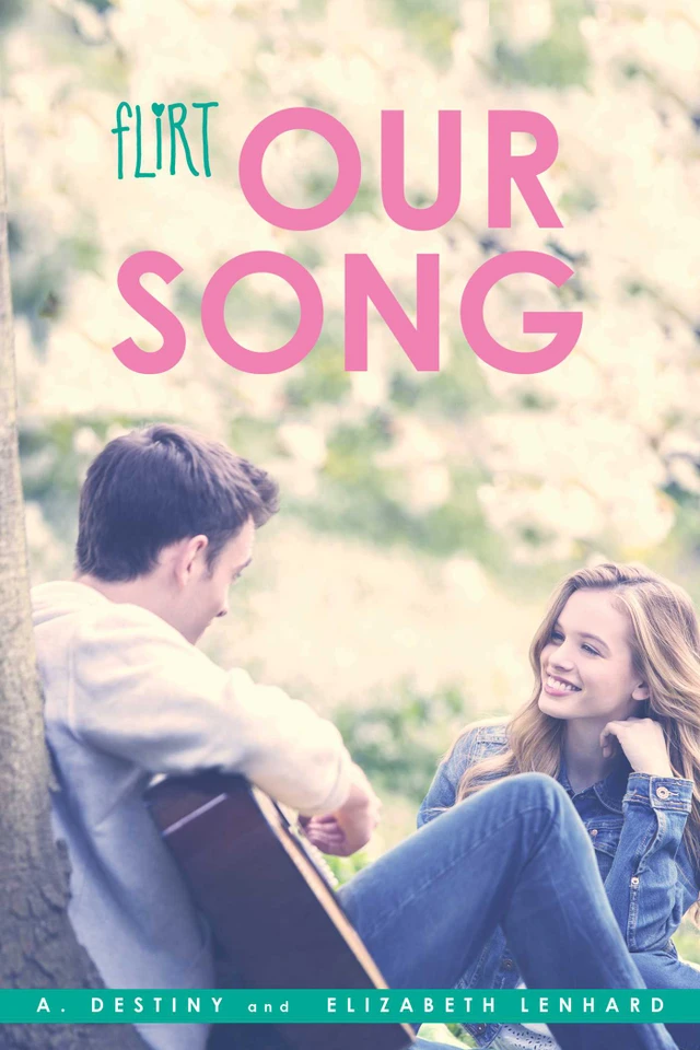 Our Song (Flirt) book cover by A. Destiny, Elizabeth Lenhard