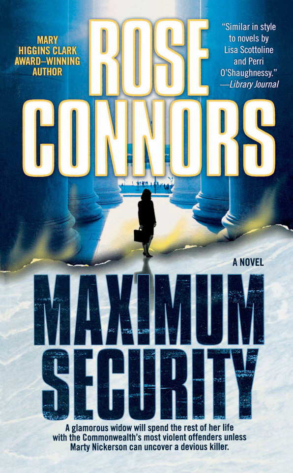 Maximum Security: A Crime Novel book cover by Rose Connors