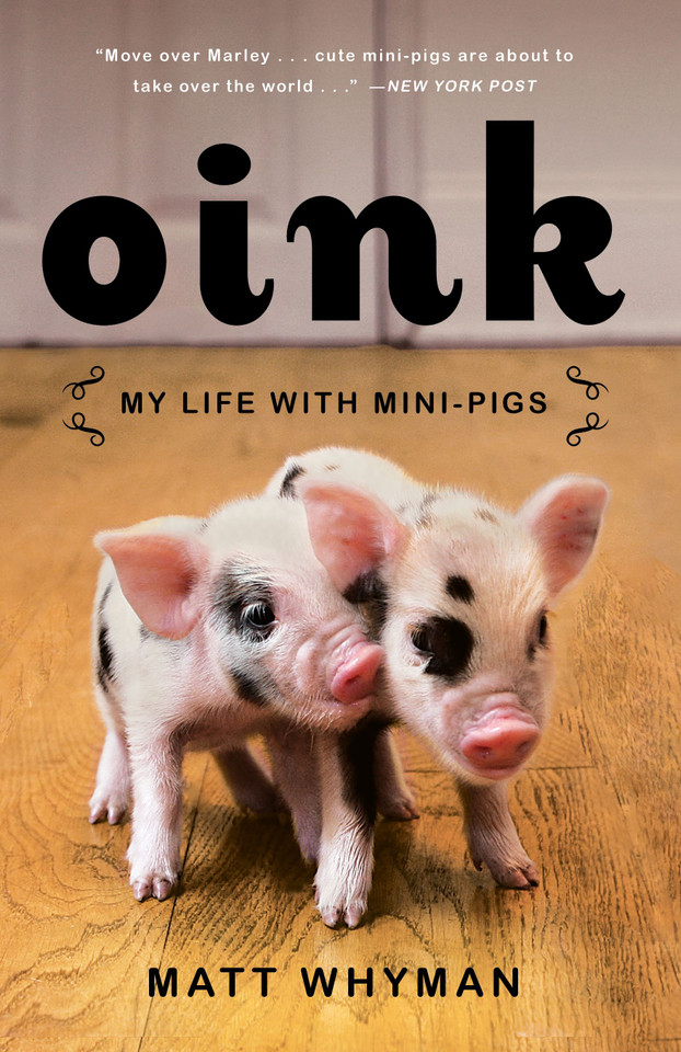 Oink: My Life with Mini-Pigs book cover by Matt Whyman