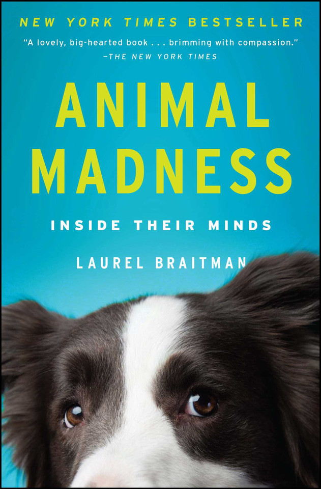 Animal Madness: Inside Their Minds book cover by Laurel Braitman
