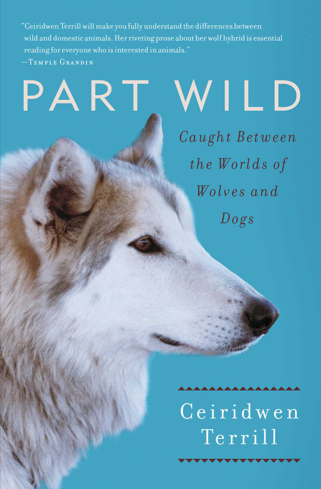 Part Wild: Caught Between the Worlds of Wolves and Dogs book cover by Ceiridwen Terrill
