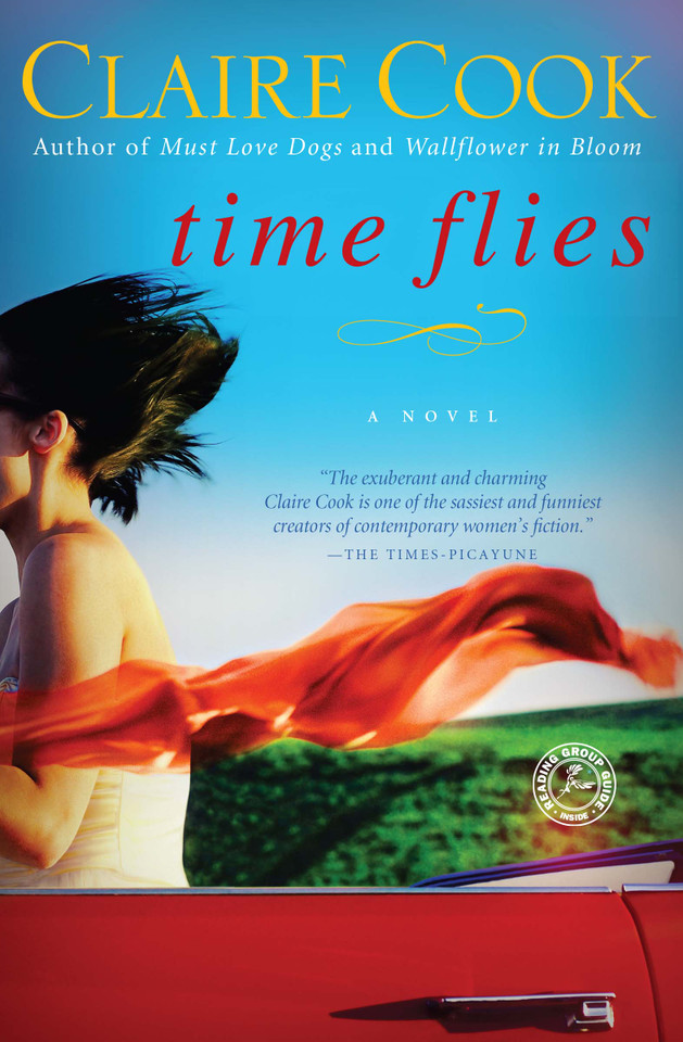 Time Flies: A Novel book cover by Claire Cook