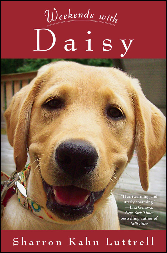 Weekends with Daisy book cover by Sharron Kahn Luttrell
