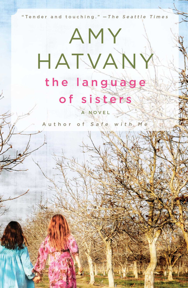 The Language of Sisters: A Novel book cover by Amy Hatvany